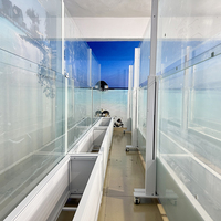 Rampe en verre rétractable universelle avec jardinière intégrée, transparente, large vue, résistante aux intempéries, réglable