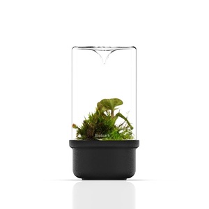 Terrarium en verre Bioloark - <span class=keywords><strong>Aquarium</strong></span> miniature de bureau pour la décoration du salon Noir/Blanc MH-80/100/120 - Product Image 5