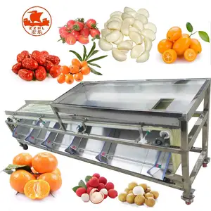 High Efficient Lemon Sorter Blueberry Date Garlic Avocado Sorting Tomato Fruit Potato Apple Grading Machine