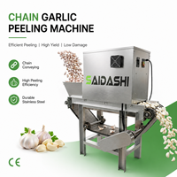 Machine à peler l'ail électrique SAIDASHI, capacité 400 kg/h, type chaîne, pour usage commercial, sans dommage pour l'ail