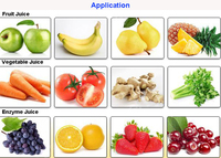 Machine industrielle en acier inoxydable pour extraire le jus d'orange, d'ananas, de fruits et de légumes