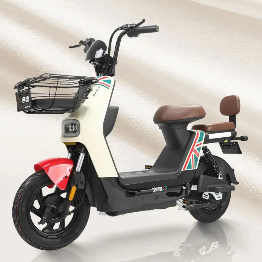SAIGE-Bicicleta eléctrica de carretera para adultos, potente bicicleta eléctrica con motor central de 500W, almacén europeo, 2022