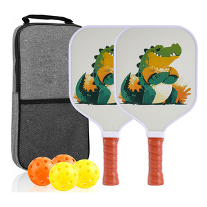 Set de Pickleball Compacto de Fibra de Vidrio, Favorito de los Estudiantes para el Dormitorio Universitario y el Campus, con Bolsa y Pelotas - Product Image 1