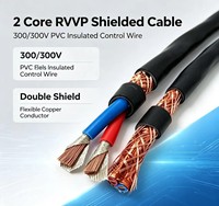 Câble de commande industriel RVVP en cuivre blindé solide avec gaine PVC 600V pour alimentation aérienne et chauffage de bâtiments
