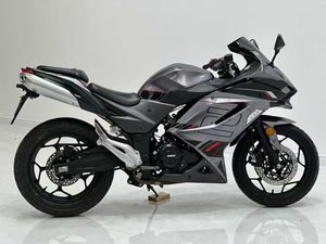 Prix direct usine Moto Kawasaki H2 bicylindre refroidie par eau 250cc Moteur sans balais Vitesse maximale 200 km/h Course sur route - Product Image 3