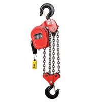 Mini-grue électrique DHS, capacité 1000 kg, treuil à chaîne à levage automatique avec télécommande, tension 220 V, pour garages