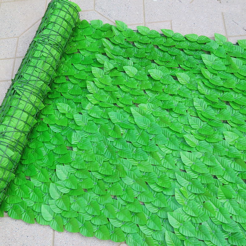 Light green pothos leaf