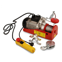 Nouveau palan électrique industriel de 12m 500kg avec câble métallique de chariot à télécommande à corde unique pour les hôtels de vente au détail de restaurant