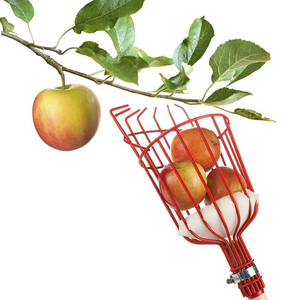 Testa raccoglitrice di frutta portatile cesto profondo ideale per la raccolta di mele, pesche, agrumi e pere in frutteti e giardini domestici - Product Image 1