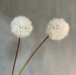 Décoration de mariage, plante artificielle à tige unique, fleur de pissenlit artificielle blanche, grande fleur de type herbe, fleurs de pissenlit pour mariage - Product Image 3