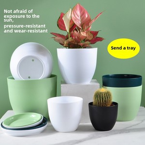 Nouveau pot de fleurs moderne nordique simple <span class=keywords><strong>pour</strong></span> la maison, grand, vert mat, épaissi, en forme d'œuf, <span class=keywords><strong>pour</strong></span> plantes vertes, vente en gros, <span class=keywords><strong>pour</strong></span> sol de serre - Product Image 5