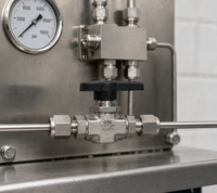 Vanne à boisseau sphérique miniature droite manuelle haute pression en acier inoxydable 316 avec raccords à ferrules 2 voies pour liquides