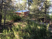 Cabane en forêt, chalet en forêt, cabane en forêt pour les vacances en famille