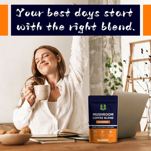 Factory Wholesale Mushroom Coffee Blend Supports Boost Mental Concentration with Chaga Lion's Mane Cordyceps Mushroom Coffee - Product Image 5