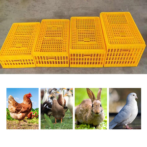 Jaulas Plegables para Transporte de Pollos, Acero Galvanizado en Caliente, para Uso en Granjas Avícolas, Venta Caliente - Product Image 2