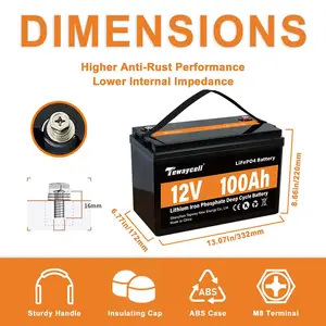 맞춤형 Diy 12V 24V 48v 50ah 100Ah 200Ah 300Ah 400Ah 골프 자동차 RV용 리튬 배터리 팩 셀