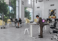AOKE Nouvelle promotion Bureau ergonomique professionnel en métal réglable en hauteur pour poste de travail