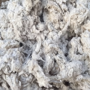 CARTE EN COTON MOUCHE, DÉCHETS DE SPINNING MILLS, LICKERIN DE COTON-Mme Claire - Product Image 1