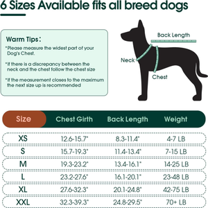 WL 7A 급 항균 직물 남성 여성 개 봄 여름 수술 후 복구 세트 의류를위한 Onesie 애완 동물 의류 - Product Image 6