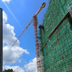 Grúa Torre Sin Plataforma 6015 de 8 Toneladas, Confiable y Duradera, en Venta - Product Image 1