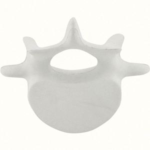Custom Logo Vertebrae Pu Stress Relievers Stress Toy Stress <b>Ball</b> - Product Image 3