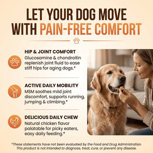 Comprimés à mâcher pour chiens sous marque privée : Glucosamine, Chondroïtine, MSM – Supplément canin pour l'arthrite de la hanche et la mobilité - Product Image 2