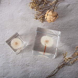 קישוט שולחן עבודה משובץ אקריליק בצורת שן הארי, קישוט לבית, דגימת פרח מיובש, מתנה מיוחדת - Product Image 2