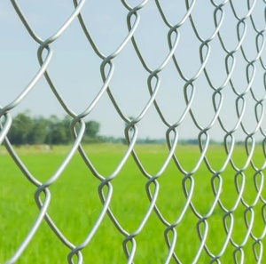 High Quality Galvanized Chain Link Fence Crimped <strong>Hexagonal</strong> <strong>Wire</strong> Mesh With Cutting Processing Service