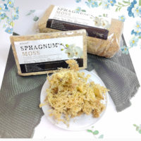 Terre de rempotage de mousse de sphaigne de luxe de 5.3oz pour plantes succulentes carnivores et orchidées-Sacs écologiques