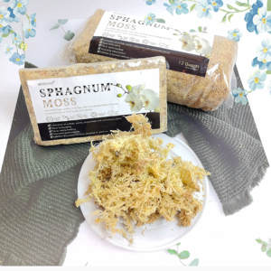 Terre de rempotage de mousse de sphaigne de luxe de 5.3oz pour plantes succulentes carnivores et orchidées-Sacs écologiques - Product Image 3