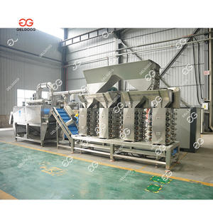 Máquina Peladora de Ajo Comercial Totalmente Automática, Línea de Procesamiento de Pelado de Ajo Completamente Automática - Product Image 3