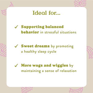 Oem hàng ngày làm dịu chó nhai Chamomile Lemon Balm Melatonin hỗ trợ giảm căng thẳng bơ đậu phộng mật ong bổ sung - Product Image 3