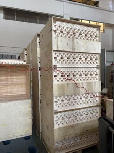 ABS PP hạt giống khay khuôn mẫu khuôn ép nhựa khuôn mẫu khay hạt giống cây trồng khuôn mẫu dịch vụ - Product Image 6