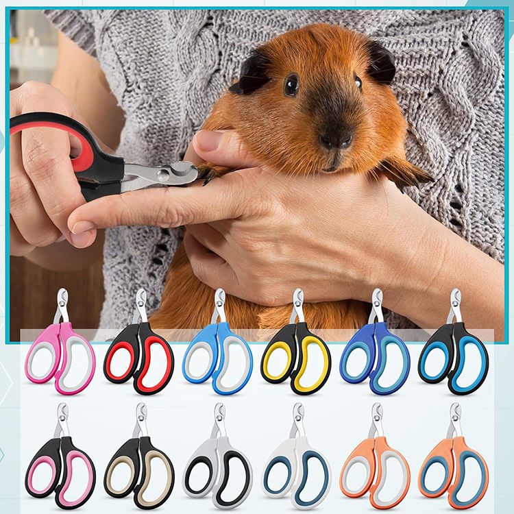 Wholesale Pet Cat Nail Clipper Bulk Kitten Claw Trimmer Pet Nail Cutter  Claw Care for Cattery Cat Breeders Groomers