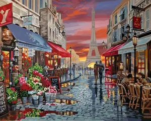 Custom 16*20inch street Eiffel Tower scenery landscape DIY wall art oil painting canvas paint by number for adults