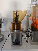 750W Commerciële Schroefpers Slow Juicer, RVS Koude Pers Sapcentrifuge voor Fruit en Groenten