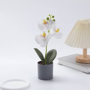 Plante en pot d'orchidée papillon artificielle en PU, décoration photo pour mariage et remise de diplôme, cadeau, vente chaude transfrontalière - Product Image 4