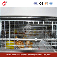 Cage de couvaison pour poussins de type H avec système d'alimentation entièrement automatique, cage de couvaison pour poussins de batterie pour élevage avicole à vendre