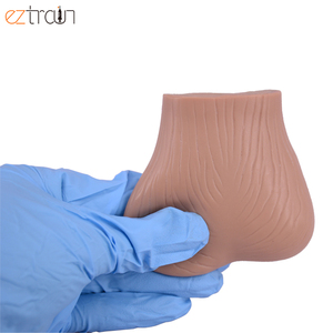 Mô hình mô phỏng khám tinh hoàn bình thường và bệnh lý, mô hình nhận thức về tinh hoàn nam - Product Image 2