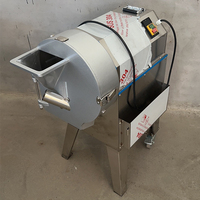 Kleine automatische groente- en fruitblokjes snijmachine voor zoete aardappel, groene ui en chips.