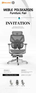 Silla Ergonómica Deluxstar Q1, Venta al por Mayor del Fabricante, Venta Directa de Fábrica, Diseño Moderno, Respaldo en Forma de Flecha, Altura Ajustable, Malla - Product Image 2