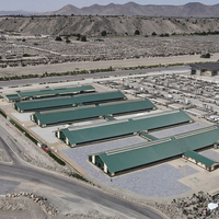 Entrepôt de poulets de chair de structure métallique de conception moderne pour l'application de ferme