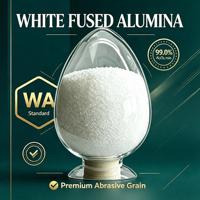 Alumine blanche fusionnée de qualité industrielle WA F40-F220, 99,0 % Al2O3, pour abrasifs industriels (livraison porte-à-porte)