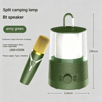 Enceinte Karaoké Portable Rechargeable avec Micro et LED, 10W*2, pour Barbecue en Extérieur, Entrée TF/AUX, Idéale pour Fêtes en Plein Air