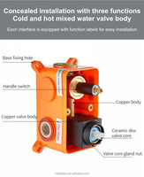 Ensemble de robinet de douche de salle de bains mitigeur thermostatique en laiton Design solide moderne dissimulé brossé noir CE Massage carré