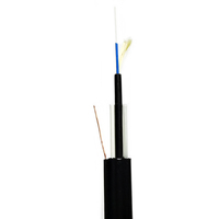 Cable de Fibra Óptica de 2 Hilos OEM/ODM G.657 A2, Tipo de Amortiguador Ajustado, Cable de Bajada FTTH para Exteriores