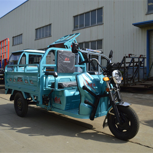 Wholesale 1000W Cargo Electric Tricycle Electric Trike E Bike 3 Wheel Electric Bicycle for Adults - Product Image 4