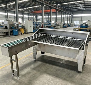 Machine <span class=keywords><strong>de</strong></span> tri et <span class=keywords><strong>de</strong></span> lavage d'œufs automatique compacte pour l'industrie <span class=keywords><strong>de</strong></span> la cire, <span class=keywords><strong>de</strong></span> la farine et <span class=keywords><strong>de</strong></span> l'éclairage, Philippines - Product Image 4