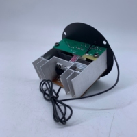 Carte amplificateur de puissance DC12V à prix abordable avec port USB, carte amplificateur de subwoofer de voiture avec fonction AUX, lecteur MP3 de voiture