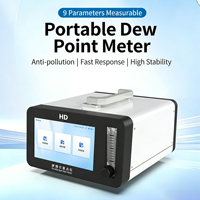 Portable Intelligent Dew Point Analyzer 100,000 Data Storage Auto-Calibration High Accuracy Sound+Light Alarm 24V Battery Gas